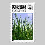 Green Green Grass Of Home postage stamp
