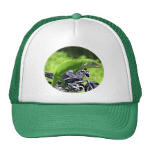 Green Hawaiian Gecko Rider Trucker Hat