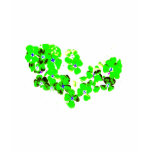 Green Heart T Shirts