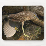 Green Heron Mousepads
