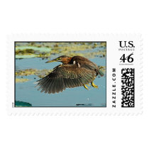 Green Heron Take Off postage by PhotoWolf Green Heron Take Off postage