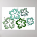 Green Hibiscus Blooms posters