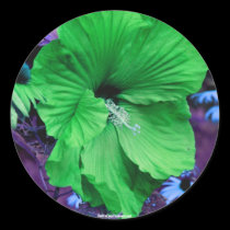 Green Hibiscus Flower Photography Sticker Label