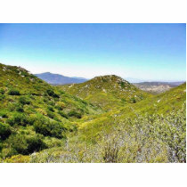 Green Hills photo sculptures