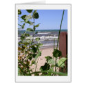 Green House Beach cards by pam_cr Green House Beach cards