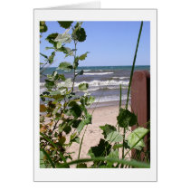 Green House Beach cards