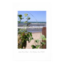 Green House Beach posters by pam_cr Green House Beach posters