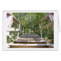Green House Steps cards by pam_cr Green House Steps cards