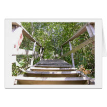 Green House Steps cards