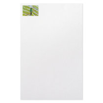 Green Hummingbird Photo Customized Stationery