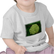 Green Hydrangea Baby T-Shirt