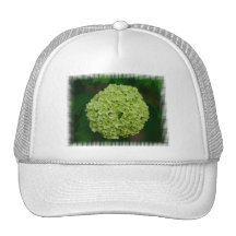 Green Hydrangea Baseball Cap Hat