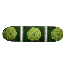 Green Hydrangea Skateboard