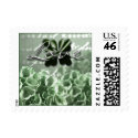Green Hydrangea Wedding Flowers postage