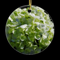 Green Hydrangeas Flowers ornaments