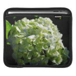 Green Hydrangeas Flowers iPad Sleeves