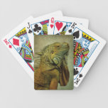 Green Iguana Bicycle Card Deck