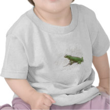 Green Iguana Lizard Baby Shirt