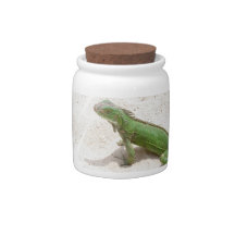 Green Iguana Lizard Candy Jar