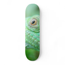 Green Iguana Lizard Reptile On Leaf Skateboard