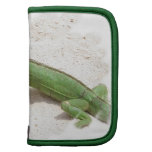 Green Iguana Lizard Wallet Folio Folio Planners