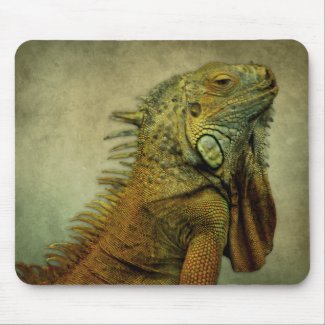 Green Iguana Mousepads