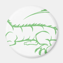 Green Iguana Refrigerator Magnets