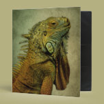 Green Iguana binders