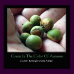 Green Is The Color Of Autumn