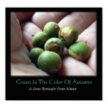 Green Is The Color Of Autumn