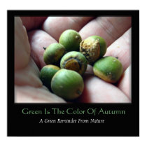 Green Is The Color Of Autumn posters by wildlifezoo Green Is The Color Of Autumn posters