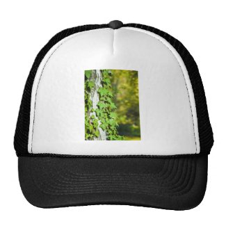 green ivy mesh hat