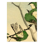 Green Japanese Sparrows no.1 Post Cards
