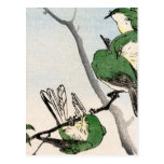 Green Japanese Sparrows no.2 Postcard