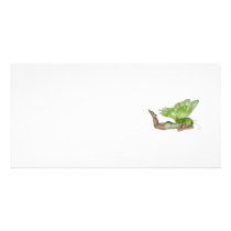 Green Lady Fairy 3 - 3D Fantasy Art - Personalized Photo Card