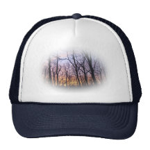 Green Lane PA Woodland Winter Sunset Hat
