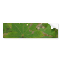 green leaf 2 bumper stickers by Elfain green leaf 2 bumper stickers