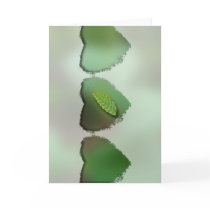 Green Leaf Blurred Background; No Greeting Card