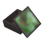 Green Leaf Blurred Background; No Greeting Premium Keepsake Boxes