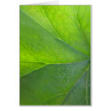 Green Leaf Card