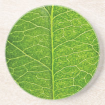 nature, green, leaf, funny, cute, coaster, vein, save, planet, geek, family, fun, cool, original, sandstone drink coaster, Coaster with custom graphic design