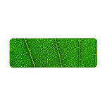 Green leaf labels