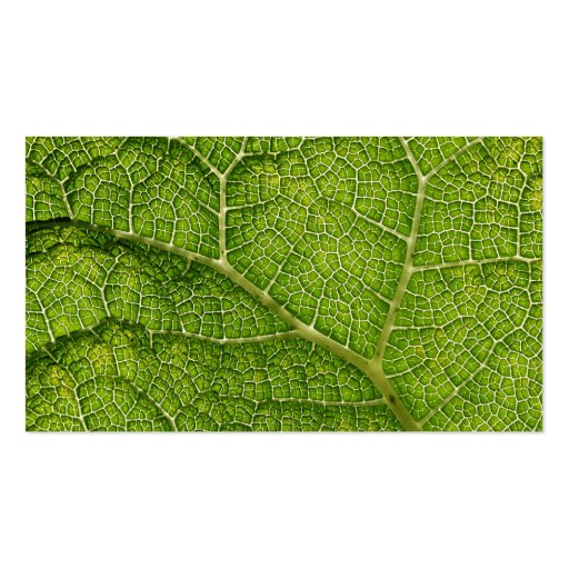 Green Leaf. Digital Art. Business Card Templates (front side)
