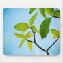 Get Green Leaf Desktop Wallpaper Here - Green Leaf Wallpaper Green Leaf (FreeWallpaperBlog.com) Mouse Pad