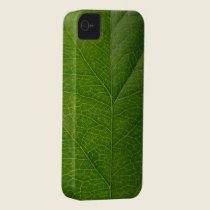 Green Leaf casemate cases