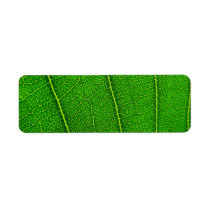 Green leaf custom return address labels