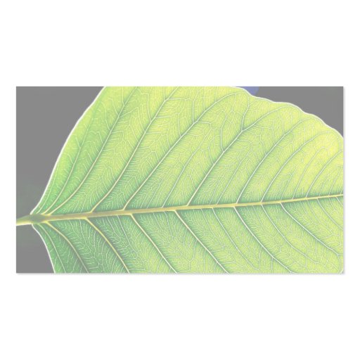 Green Leaf Leaves Business Card Templates (back side)