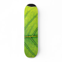 Green Leaf Leaves skateboards by lifesphere Green Leaf Leaves skateboards