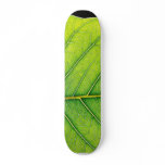 Green Leaf Leaves Skate Boards