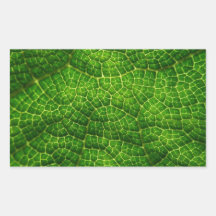 Green Leaf Macro Sticker